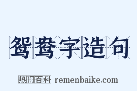 鸳鸯字造句是什么意思的图片